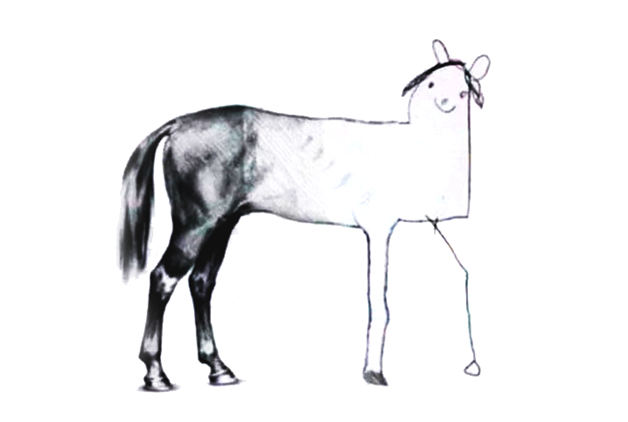 A horse running towards a deadline